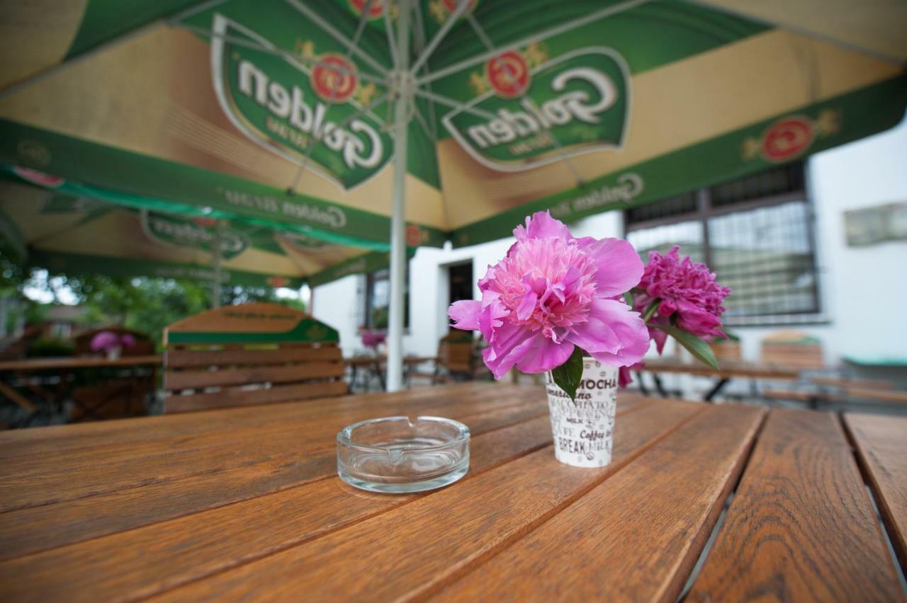 Pension Florica Piteşti Extérieur photo
